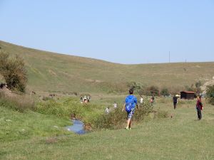 image137